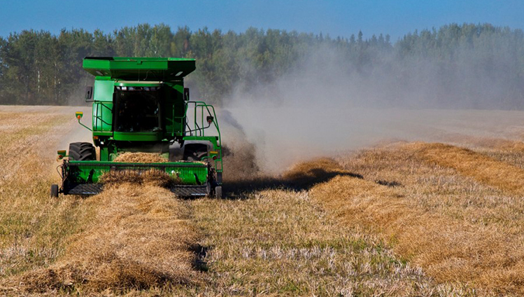 Harvest belts online